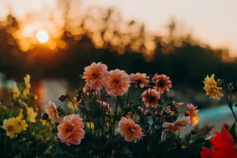 Significado de soñar con flores