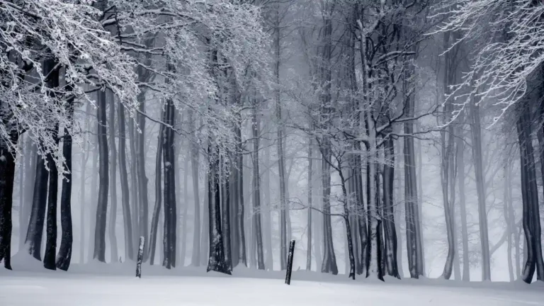 Interpretación de soñar con nieve